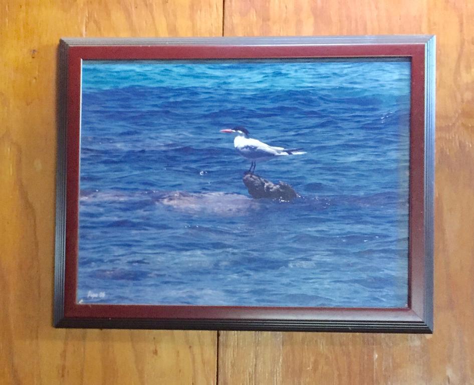 Dancing Tortugas Ξενοδοχείο Aguadilla Εξωτερικό φωτογραφία